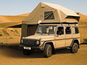 Mercedes-Benz G300 CDI Professional '2010